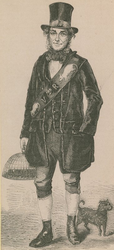 Il cacciatore di ratti da English School