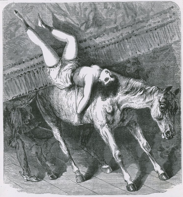 Ricordi del Teatro di Astley, Londra, il cavallo selvaggio dimentica la sua parte e il sipario purtroppo cala da English School
