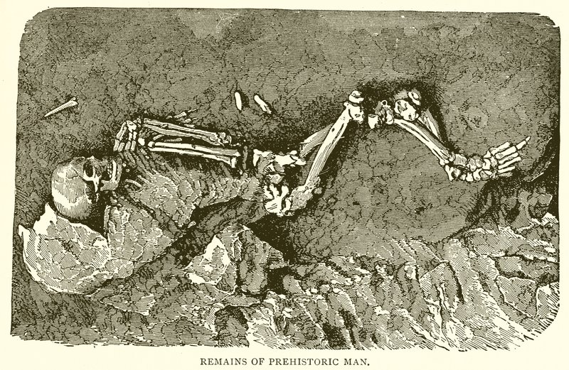 Resti dell
