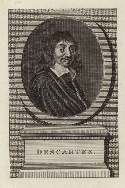 René Descartes da English School