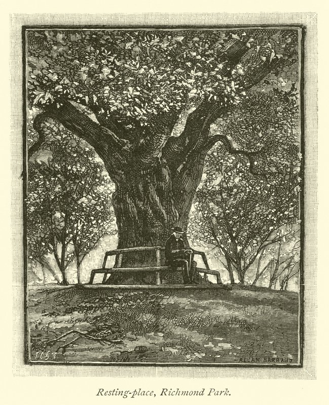 Luogo di riposo, Richmond Park da English School