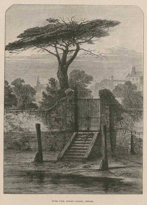 Porta del fiume del Giardino Botanico da English School
