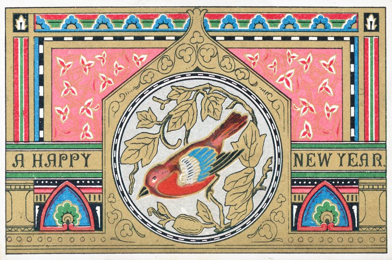 Pettirosso, Cartolina di Capodanno da English School