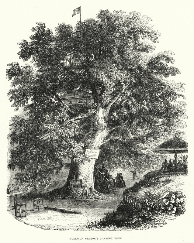 Il castagno di Robinson Crusoe da English School