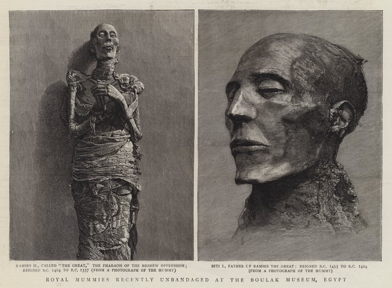 Mummie reali recentemente sbendate al Museo di Boulak, Egitto (incisione) da English School