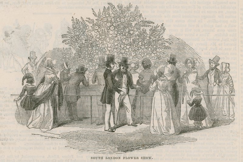 Società Orticola Reale del Sud di Londra da English School