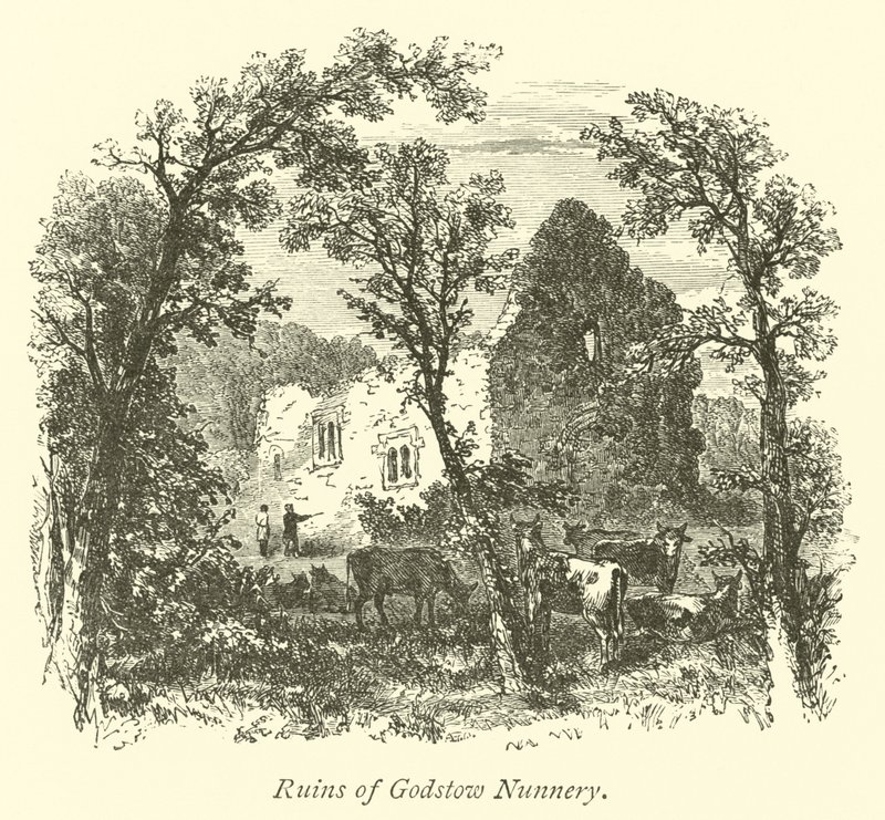 Rovine del convento di Godstow da English School