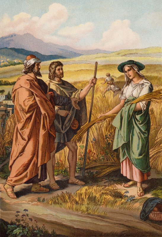 Ruth chiede a Boaz se può spigolare nel suo campo da English School