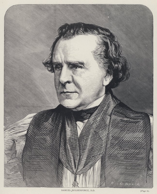 Samuel Wilberforce, DD (incisione) da English School