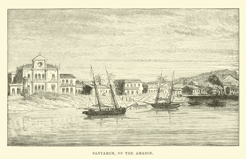 Santarem, sul Rio delle Amazzoni da English School