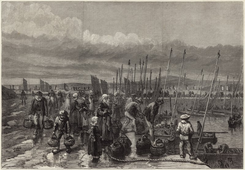 Pesca delle sardine sulla costa della Bretagna da English School