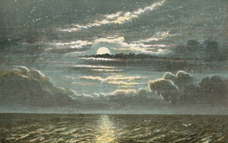 Mare di notte con luna piena da English School