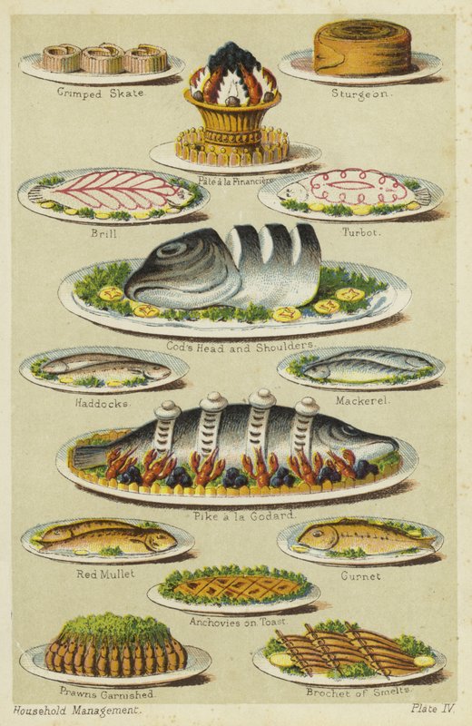Piatti di pesce e frutti di mare da English School