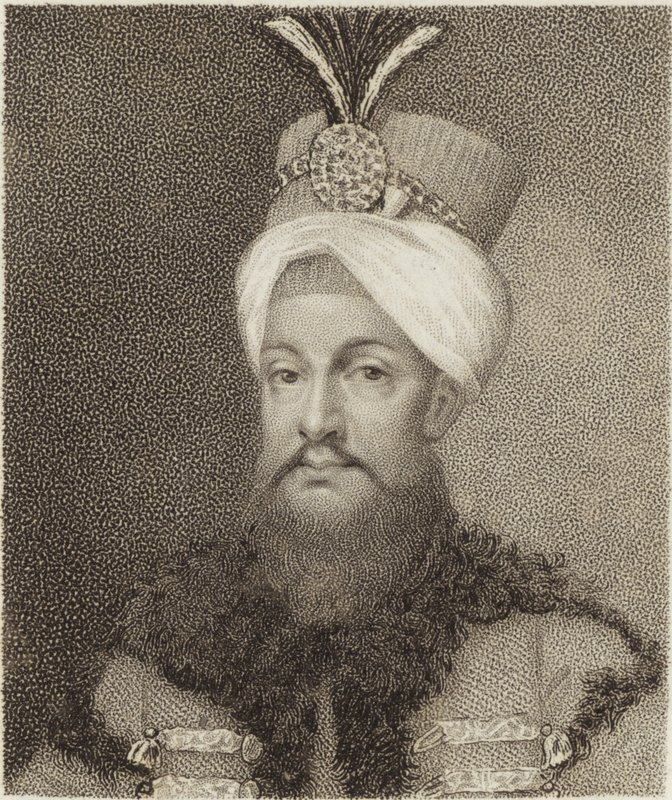 Selim II da English School