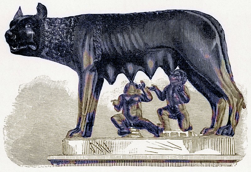 Lupa Capitolina, illustrazione da History of Rome di Victor Duruy, pubblicato nel 1884 da English School