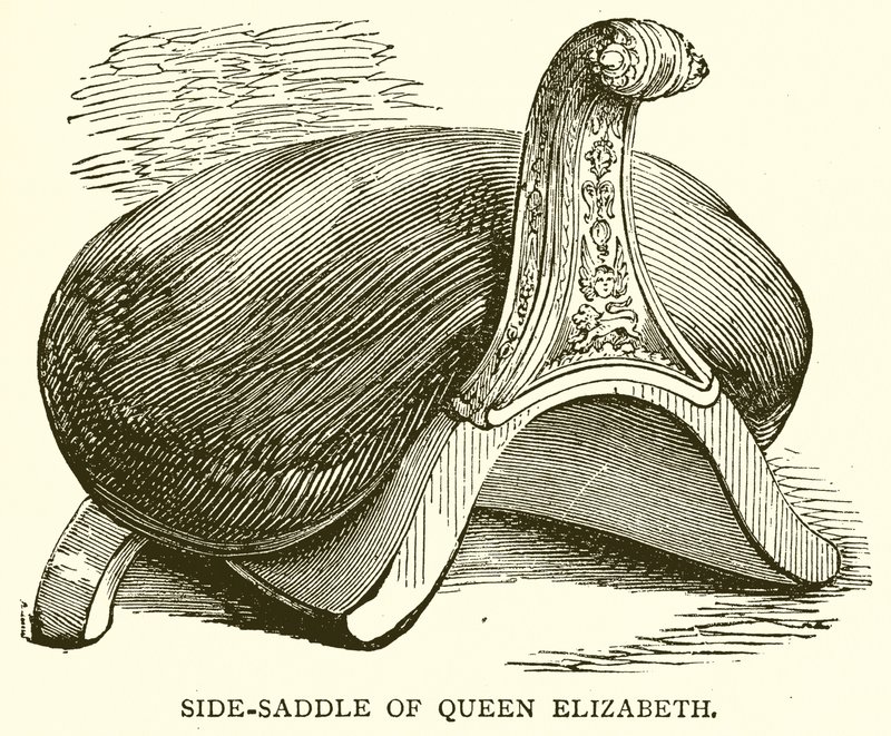 Sella Laterale della Regina Elisabetta da English School