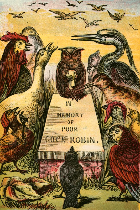 Sospirando e singhiozzando per il povero Cock Robin da English School