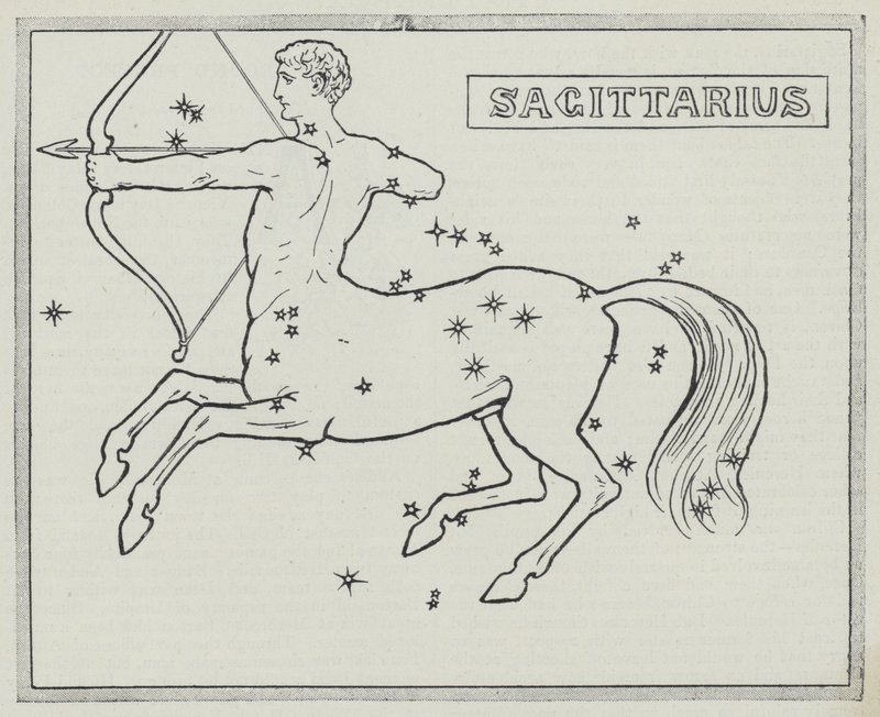 Segni dello zodiaco: Sagittario da English School