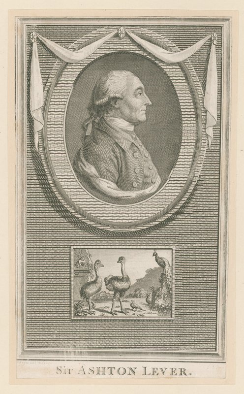 Sir Ashton Lever da English School