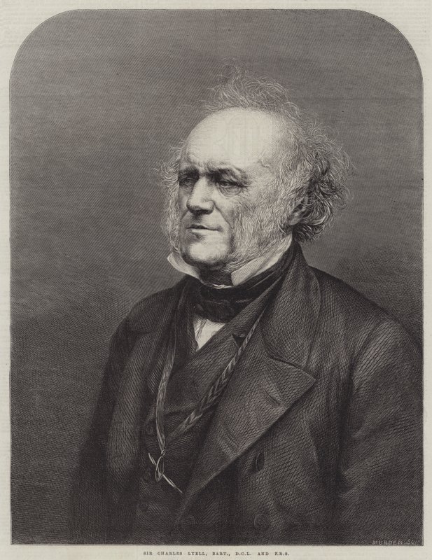 Sir Charles Lyell, baronetto, DCL e FRS (incisione) da English School