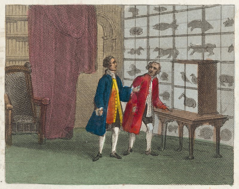 Il museo di Sir Hans Sloane da English School