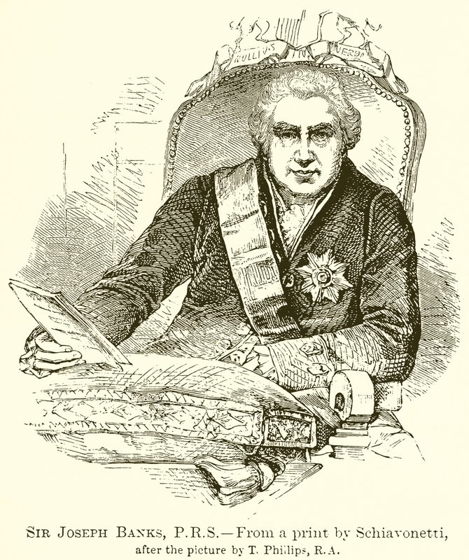 Sir Joseph Banks da English School