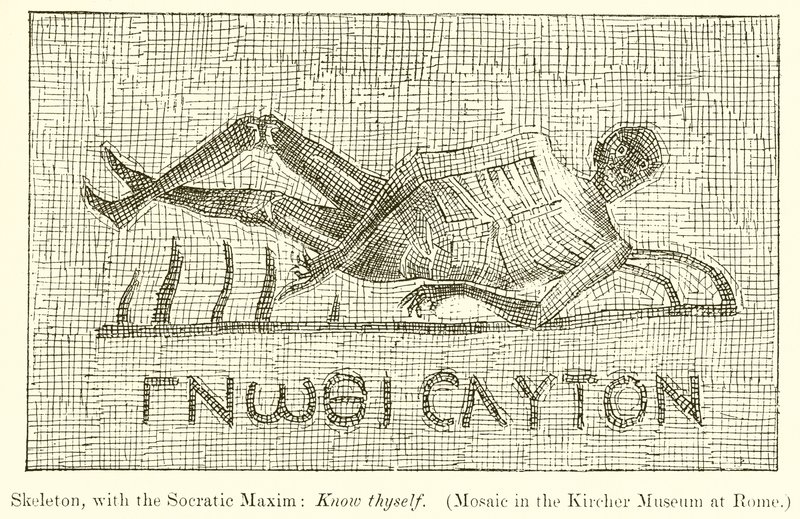 Scheletro, con la massima socratica: Conosci te stesso (Mosaico nel Museo Kircher a Roma) da English School