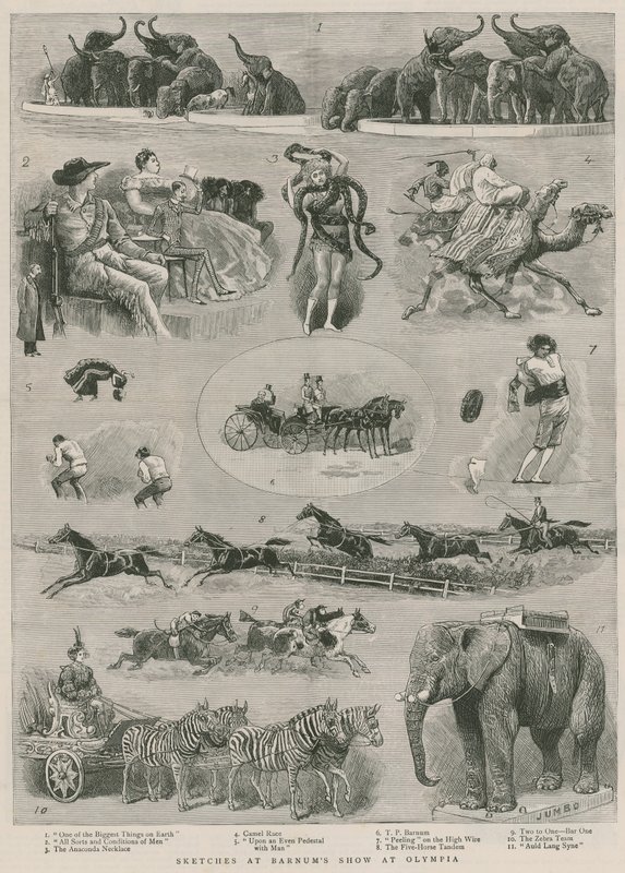 Schizzi allo spettacolo di Barnum a Olympia, Londra da English School