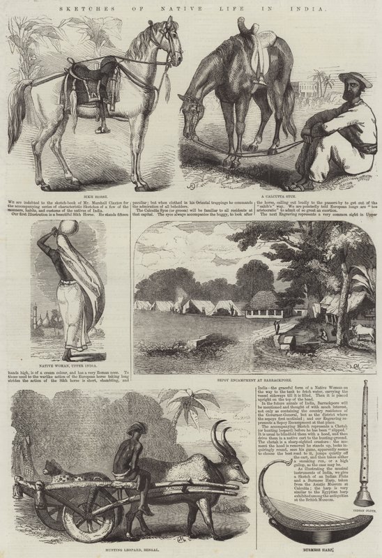 Schizzi di vita nativa in India (incisione) da English School