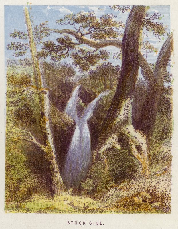 Stock Gill da English School