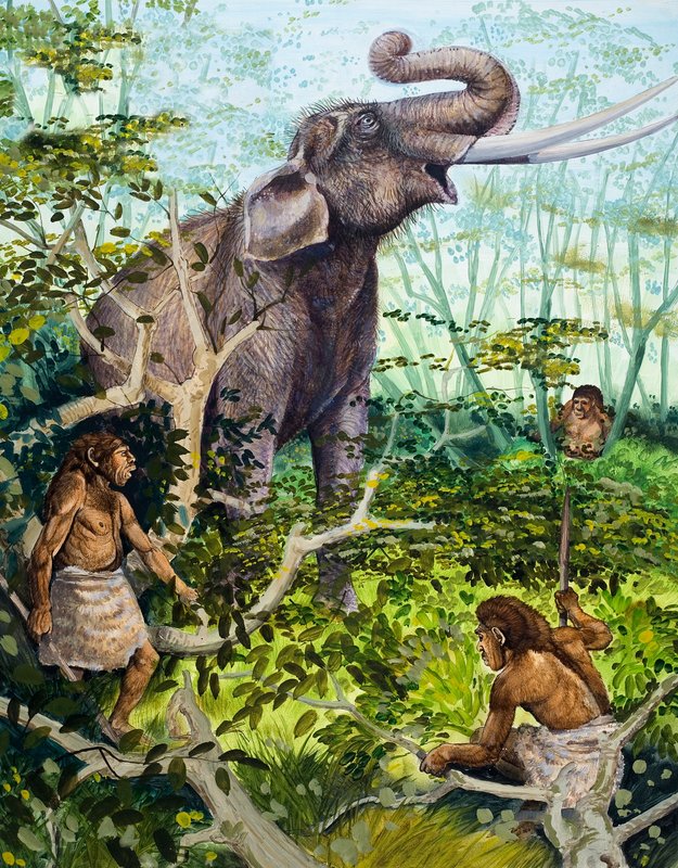 Uomo dell