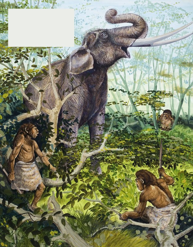 Uomo dell