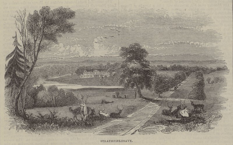 Strathfieldsaye da English School