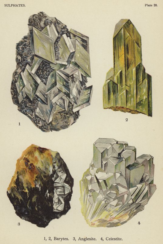 Solfati, barite, anglesite, celestite (litografia a colori) da English School