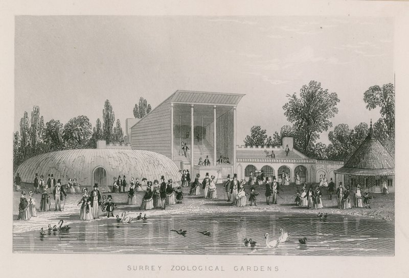 Giardini Zoologici del Surrey da English School