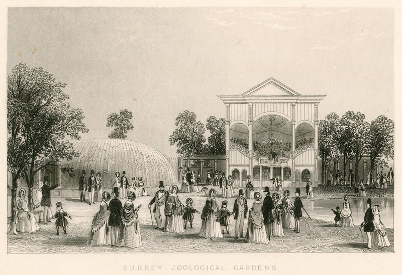 Giardini Zoologici del Surrey, Kennington, Londra: la nuova Orchestra da English School