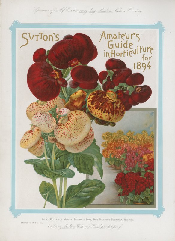 Guida per dilettanti di Sutton in orticoltura per il 1894 da English School