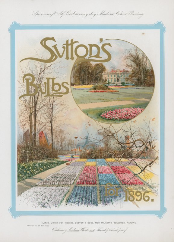 Bulbi di Sutton per il 1896 da English School