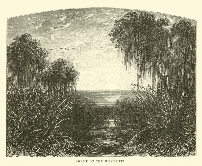 Palude sul Mississippi da English School