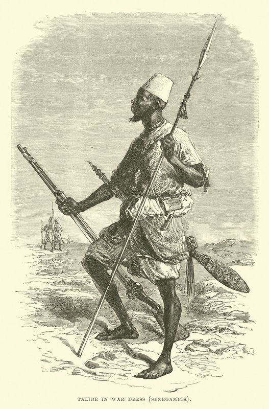 Talibe in abito da guerra, Senegambia da English School