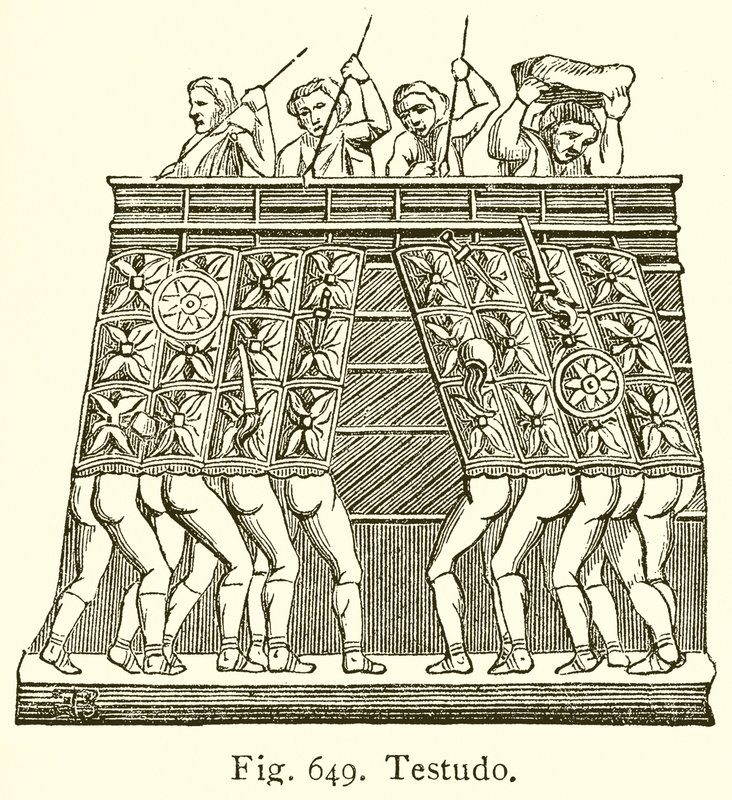 Testudo da English School