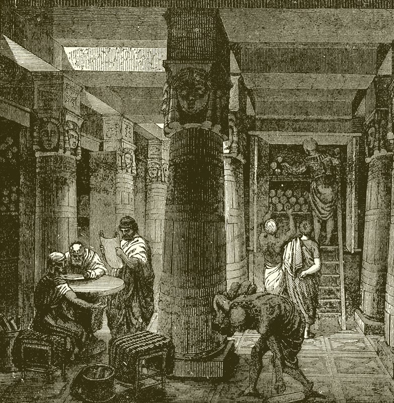 La biblioteca di Alessandria da English School
