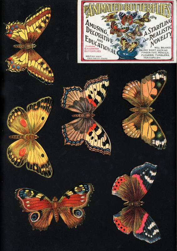Le Farfalle Animate, Divertenti, Decorative ed Educative, Una Novità Sorprendente e Realistica da English School