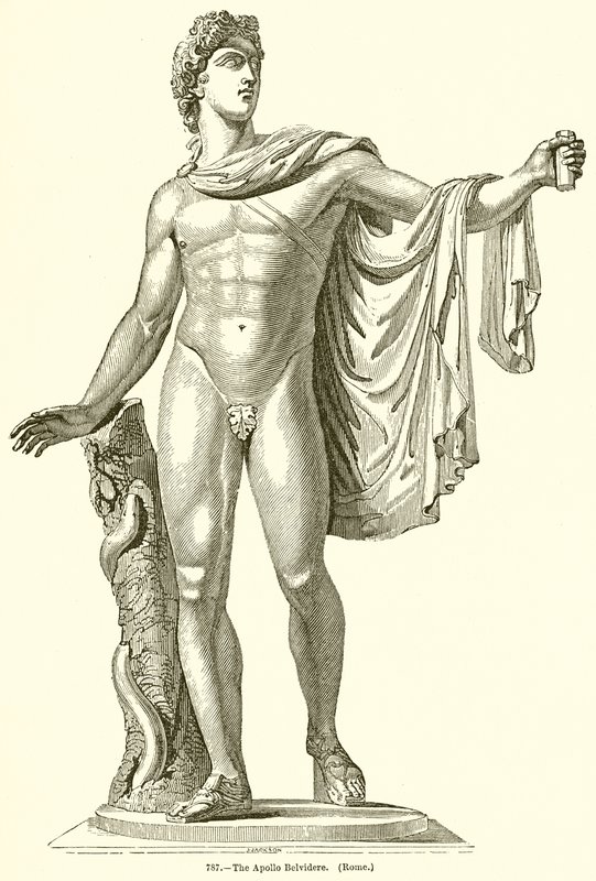 Apollo del Belvedere (Roma) da English School