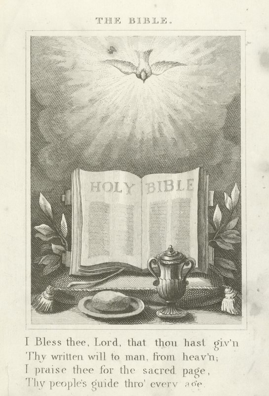 La Bibbia da English School