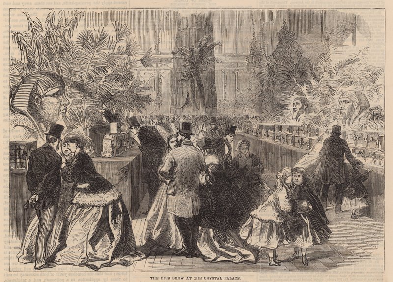 Mostra di uccelli al Crystal Palace da English School