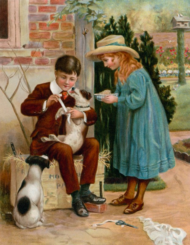 Il giovane dottore da English School