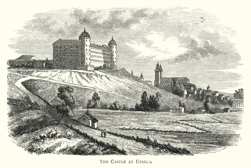 Il castello di Upsala da English School
