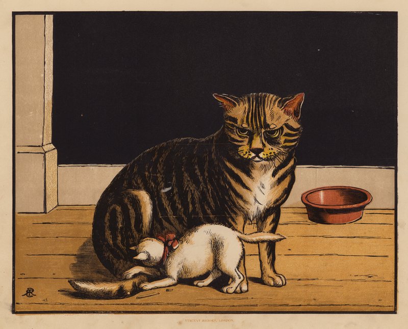 Il gatto da English School