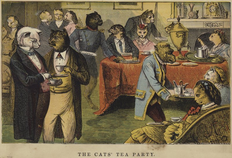 La festa del tè dei gatti da English School